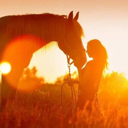 Spidsbergseter Rondane * Venabygd