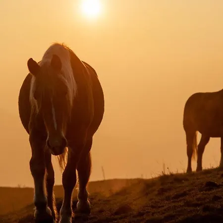 酒店 Spidsbergseter Rondane *