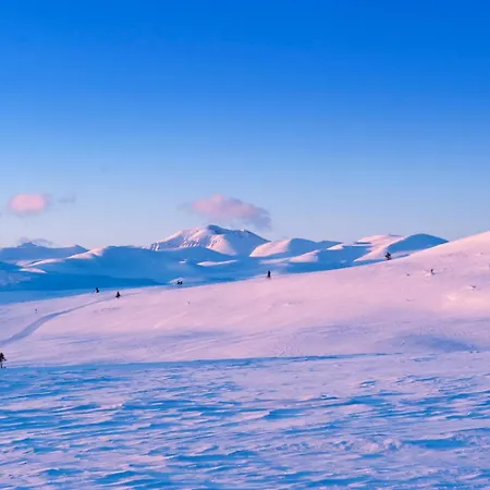 Spidsbergseter Rondane Venabygd