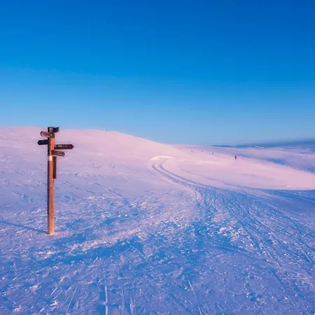 Spidsbergseter Rondane * Venabygd