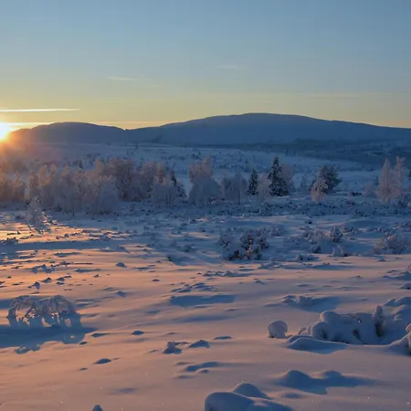 Spidsbergseter Rondane * Venabygd