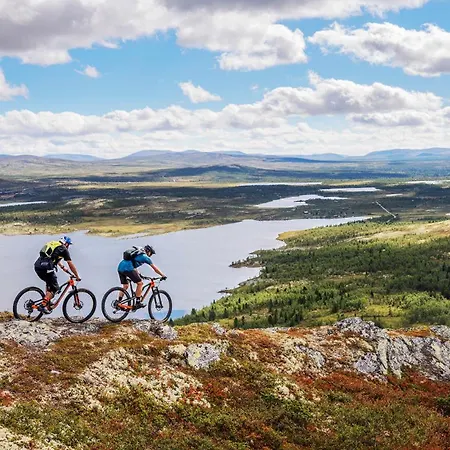 Spidsbergseter Rondane 酒店 Venabygd