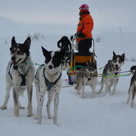 Spidsbergseter Rondane *