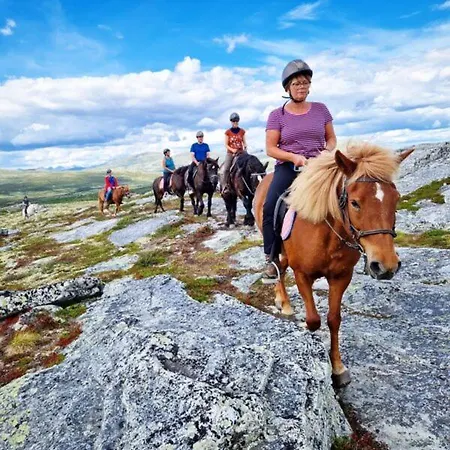 Ξενοδοχείο Spidsbergseter Rondane Venabygd