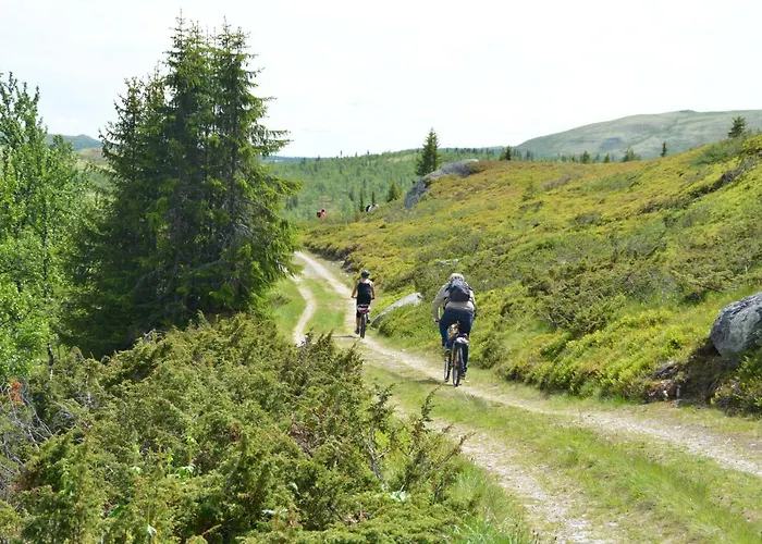 Spidsbergseter Rondane Hotell