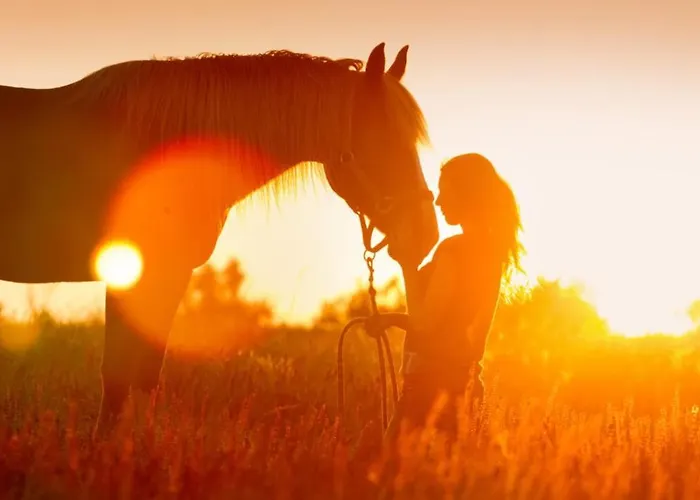 Spidsbergseter Rondane * Venabygd