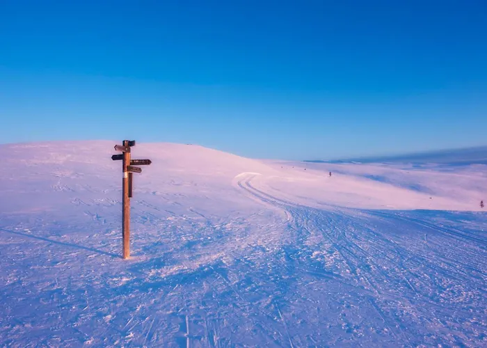 Spidsbergseter Rondane * Venabygd