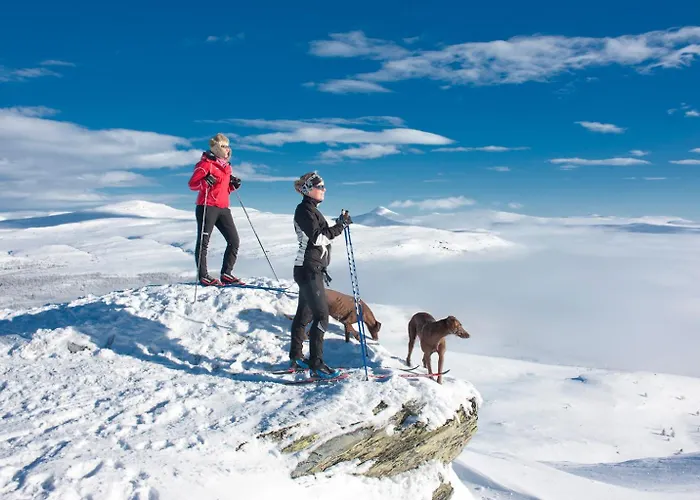 Spidsbergseter Rondane