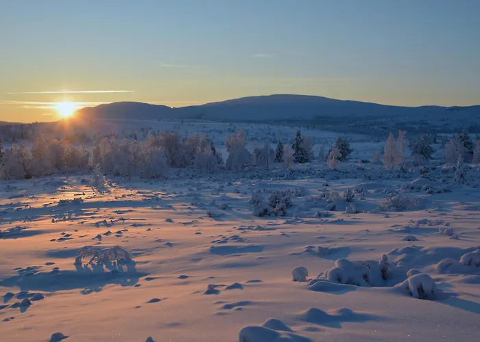Spidsbergseter Rondane * Venabygd