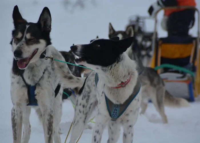 Spidsbergseter Rondane Hotell