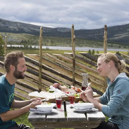 Spidsbergseter Rondane *