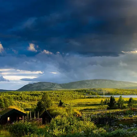 Spidsbergseter Rondane * Venabygd