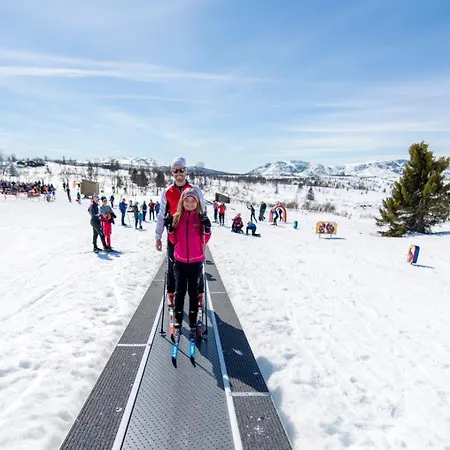 Spidsbergseter Rondane
